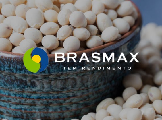 Nossos Produtos Brasmax – Sementes Mauá